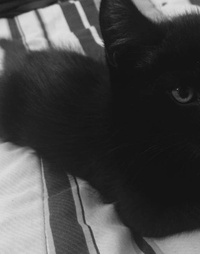 Picture for Three question Email Reading package